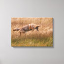 Search for wyoming art Western usa