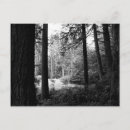 Search for darkness postcards Outdoors