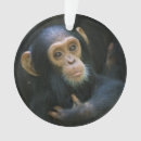 Search for chimpanzees christmas tree decorations Gorilla