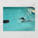 Search for black labrador retriever postcards Pet