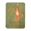 Search for condition magnets Medical