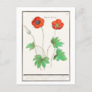 Search for vintage botanical postcards Pretty