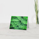 Search for ferns photography Green
