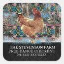 Search for meat square stickers Farm