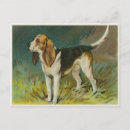 Search for beagling postcards Hound