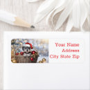 Search for schnauzer return address labels Cute