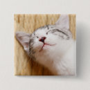 Search for sleep badges Kitten