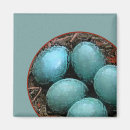 Search for nesting magnets Nature