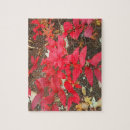 Search for fall foliage puzzles Nature