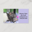 Search for rat business cards Rodent