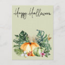 Search for hawaii postcards Tropical