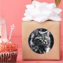 Search for mystic stickers Cat lover