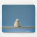 Search for new beginnings mousepads Nature