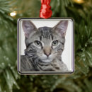 Search for brown tabby cat christmas tree decorations Kitten