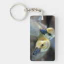 Search for canadian goose key rings Geese