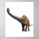 Search for dinosaur illustration posters Reptile
