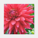 Search for special occasions magnets Floral