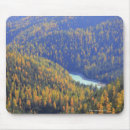 Search for october mousepads Yellow