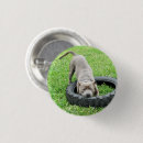 Search for staffies badges Staffordshire bull terrier