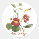 Search for nasturtium stickers Floral