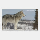 Search for winter wolf stickers Nature