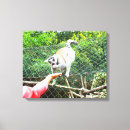 Search for feeding canvas prints Animal