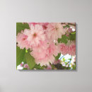 Search for cherry blossom tree canvas prints Pink