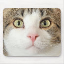 Search for whiskers mousepads Kitty