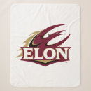 Search for college logo blankets University
