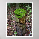 Search for tree stump posters Moss