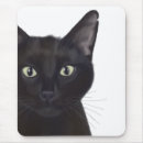 Search for black cat funny electronics Cute cats