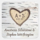 Search for birch bark stickers Winter