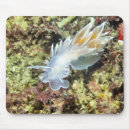 Search for diving mousepads Underwater