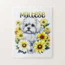 Search for maltese dog puzzles Watercolor