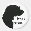 Search for beware magnets Beware of dog