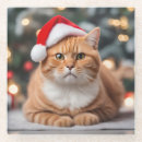 Search for funny christmas coasters Kitten