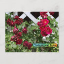 Search for trellis postcards Roses