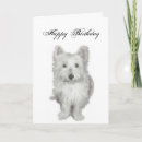 Search for westie birthday cards Dog