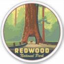 Search for redwoods stickers Travel