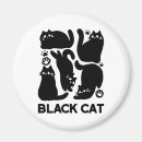 Search for felines magnets For pets