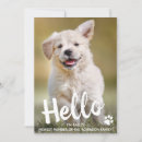 Search for pet birth announcement cards Dog
