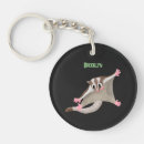 Search for glider key rings Cartoon