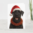 Search for giant christmas cards Schnauzer