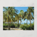 Search for tree key postcards Ocean