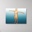 Search for female body canvas prints Healthcare