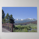 Search for pine trees posters Blue sky