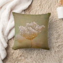 Search for daucus Wild carrot