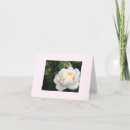 Search for rose blank cards Blossom
