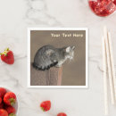 Search for grey cat napkins Pets