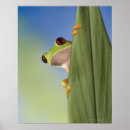 Search for peek posters Animal